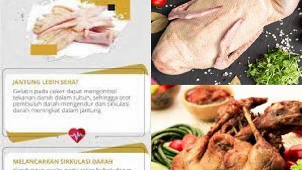 Manfaat Daging Bebek yang Jarang Diketahui, Wajib Tahu!